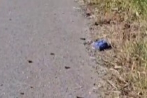 现场视频！国米二门马丁内斯车祸撞死老人，现场散落汽车碎片